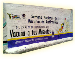 Rotulación de Bardas